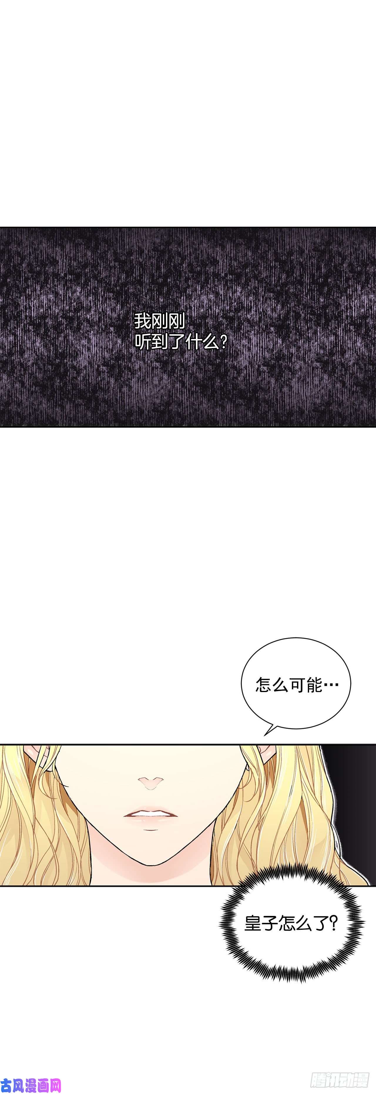 异族侍女逆袭记17.暗杀