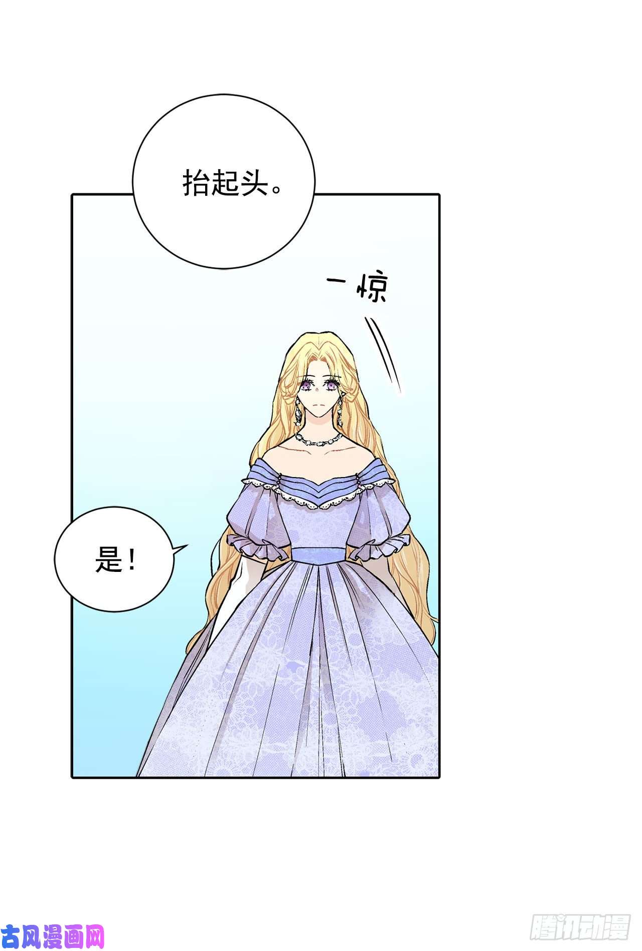 异族侍女逆袭记19.名媛
