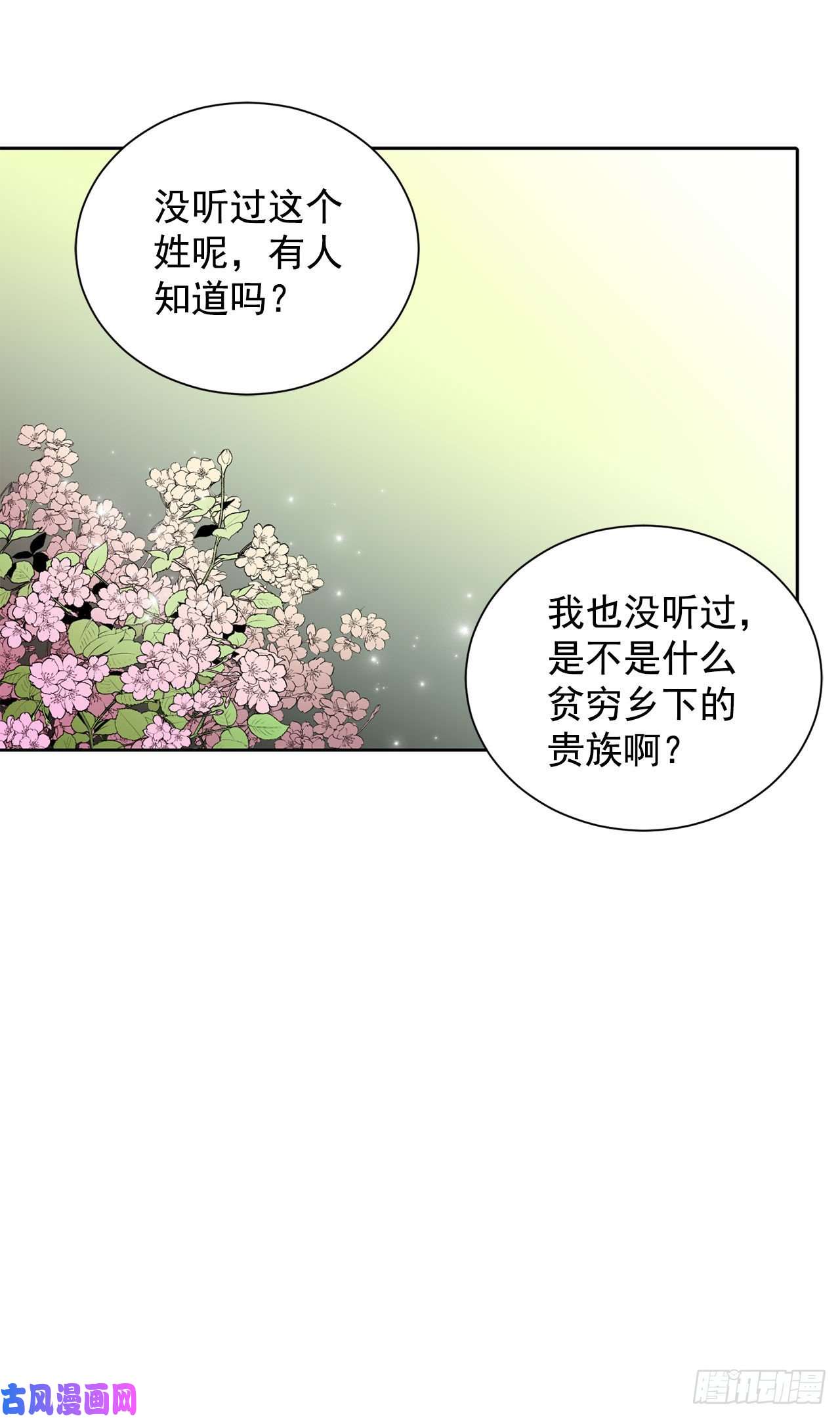 异族侍女逆袭记19.名媛