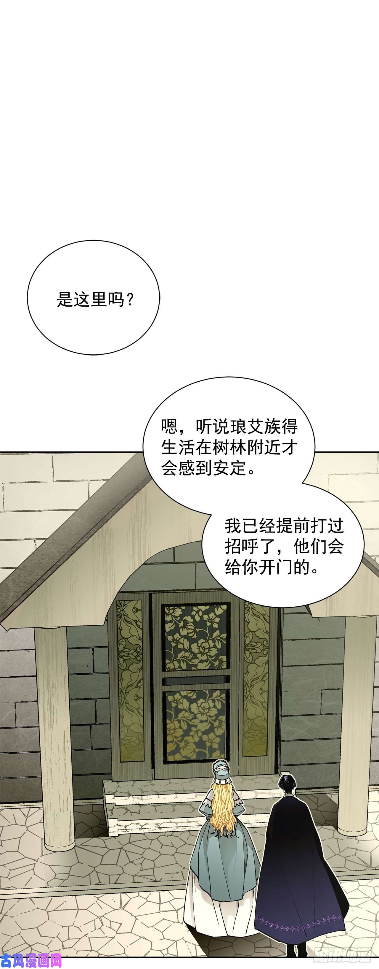 异族侍女逆袭记23.订婚