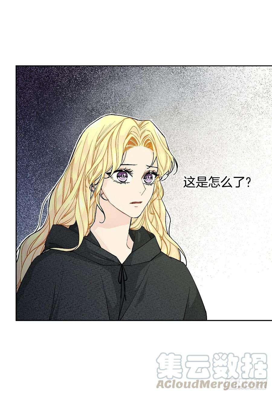 异族侍女逆袭记35.偶遇族人