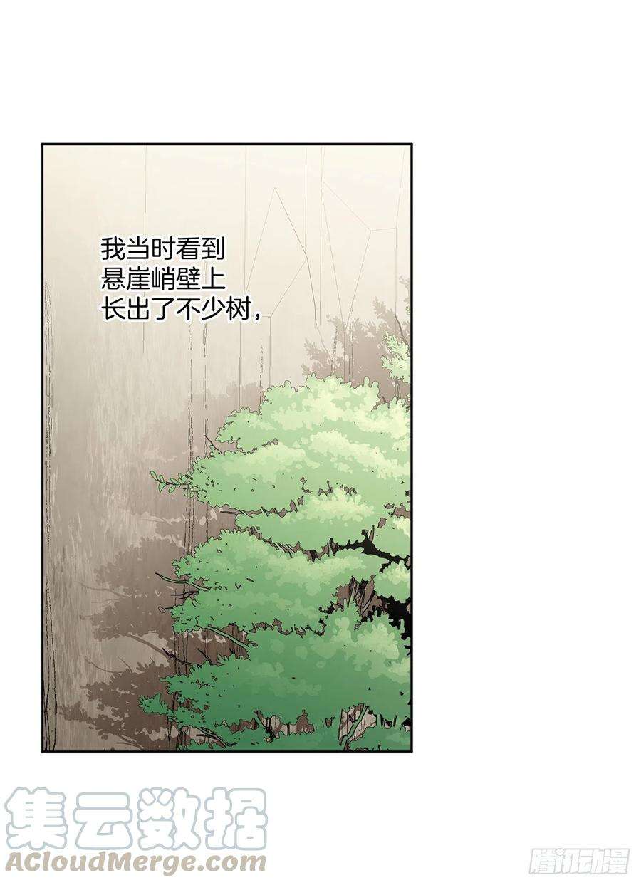 异族侍女逆袭记60.疤痕