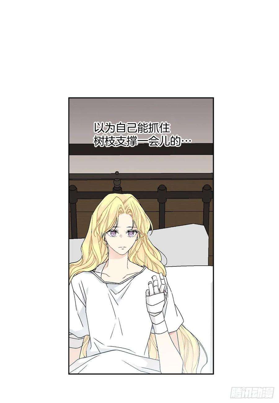 异族侍女逆袭记60.疤痕
