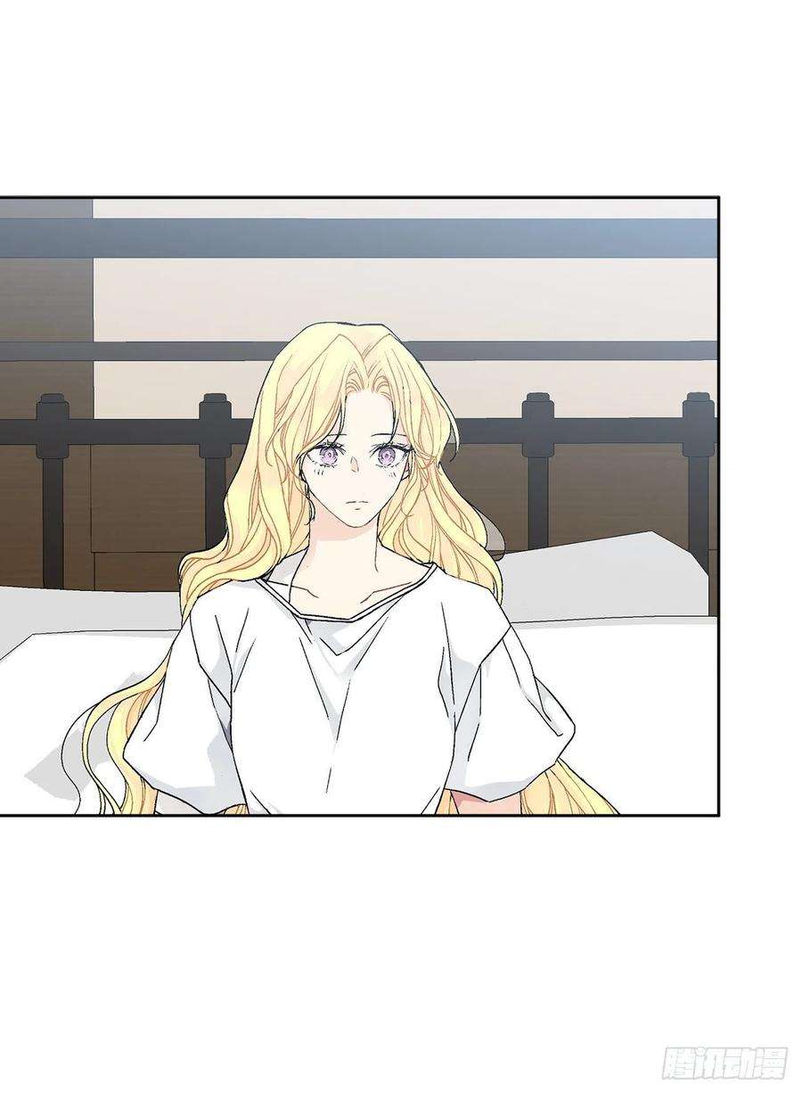 异族侍女逆袭记60.疤痕