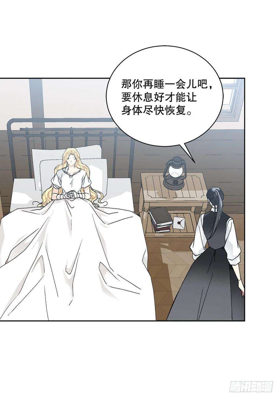 异族侍女逆袭记60.疤痕