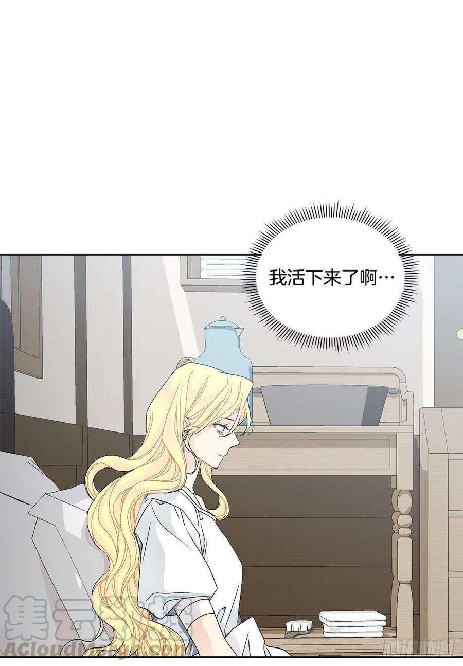异族侍女逆袭记60.疤痕