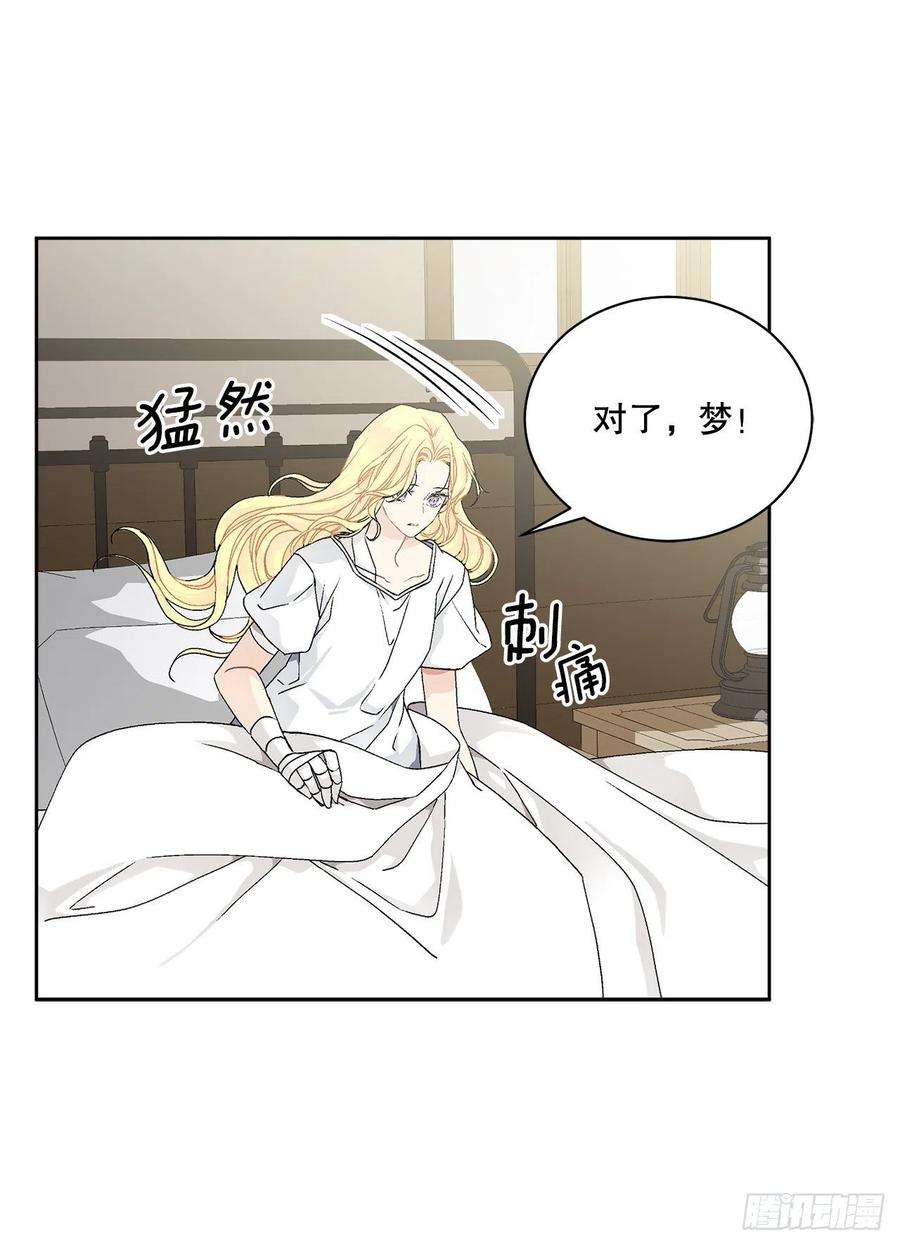 异族侍女逆袭记60.疤痕