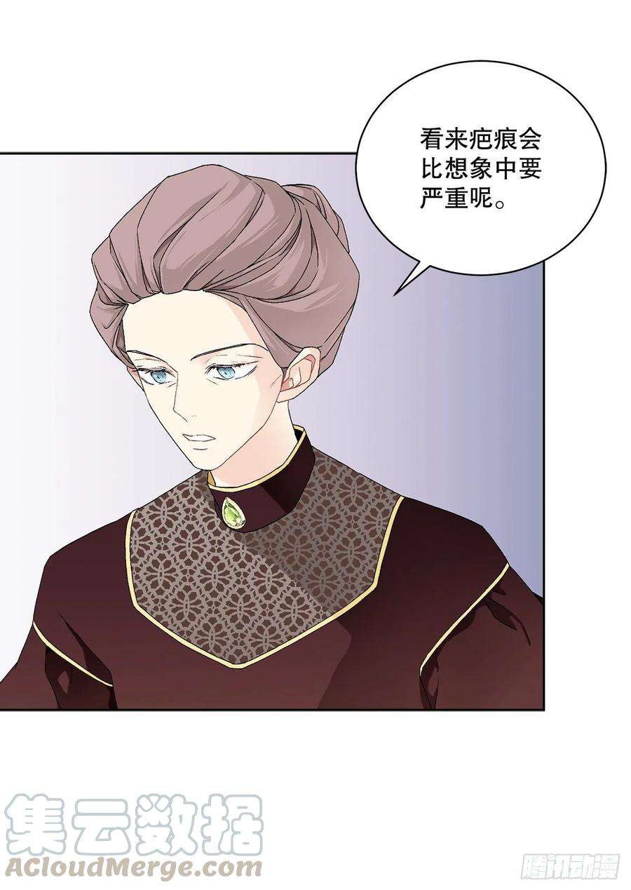 异族侍女逆袭记60.疤痕