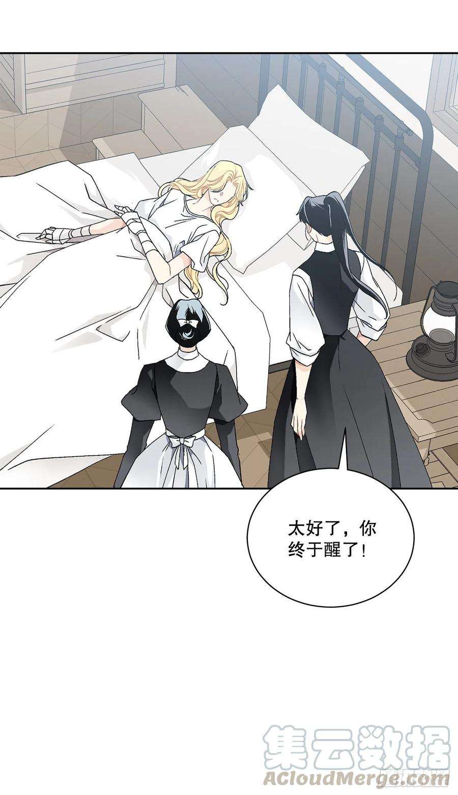 异族侍女逆袭记60.疤痕