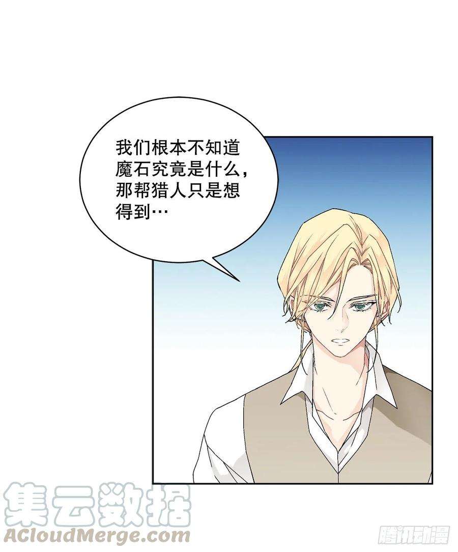 异族侍女逆袭记61.侯爵的魔石