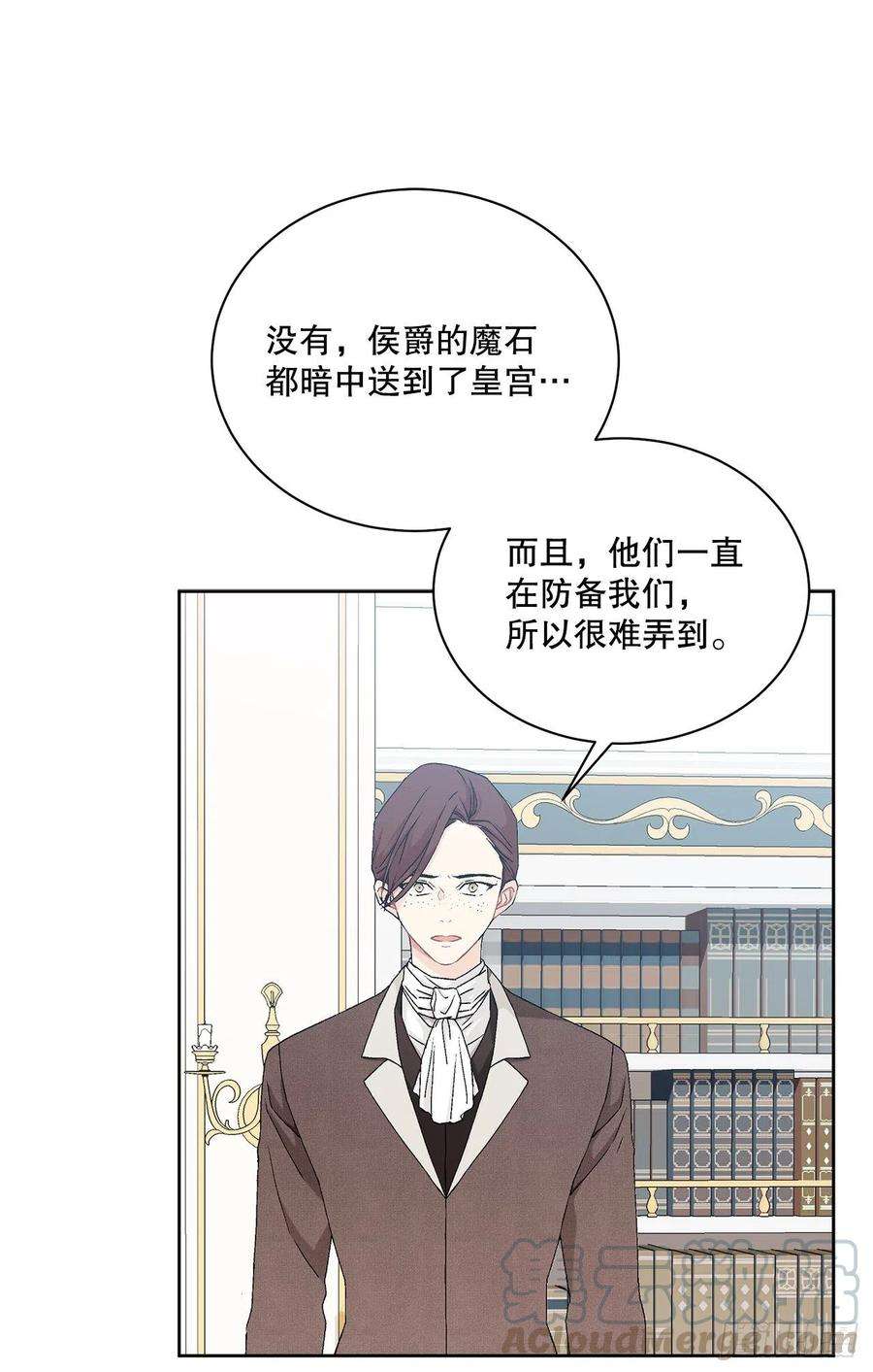 异族侍女逆袭记61.侯爵的魔石