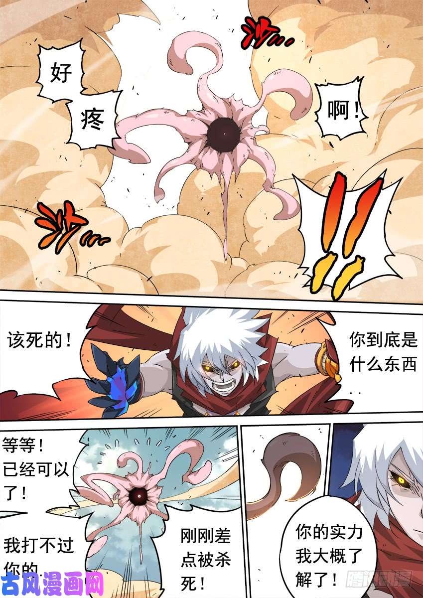 武拳246:预赛结束