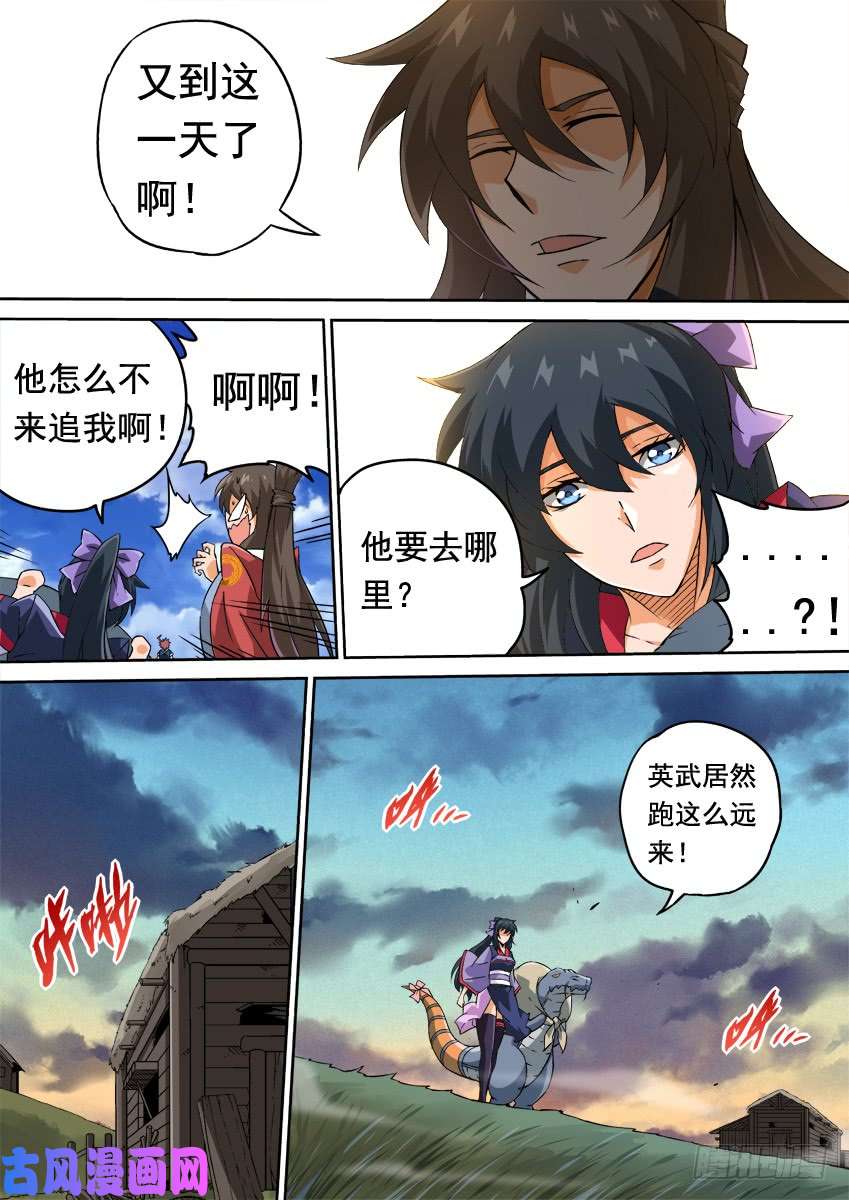 武拳247:预赛结束