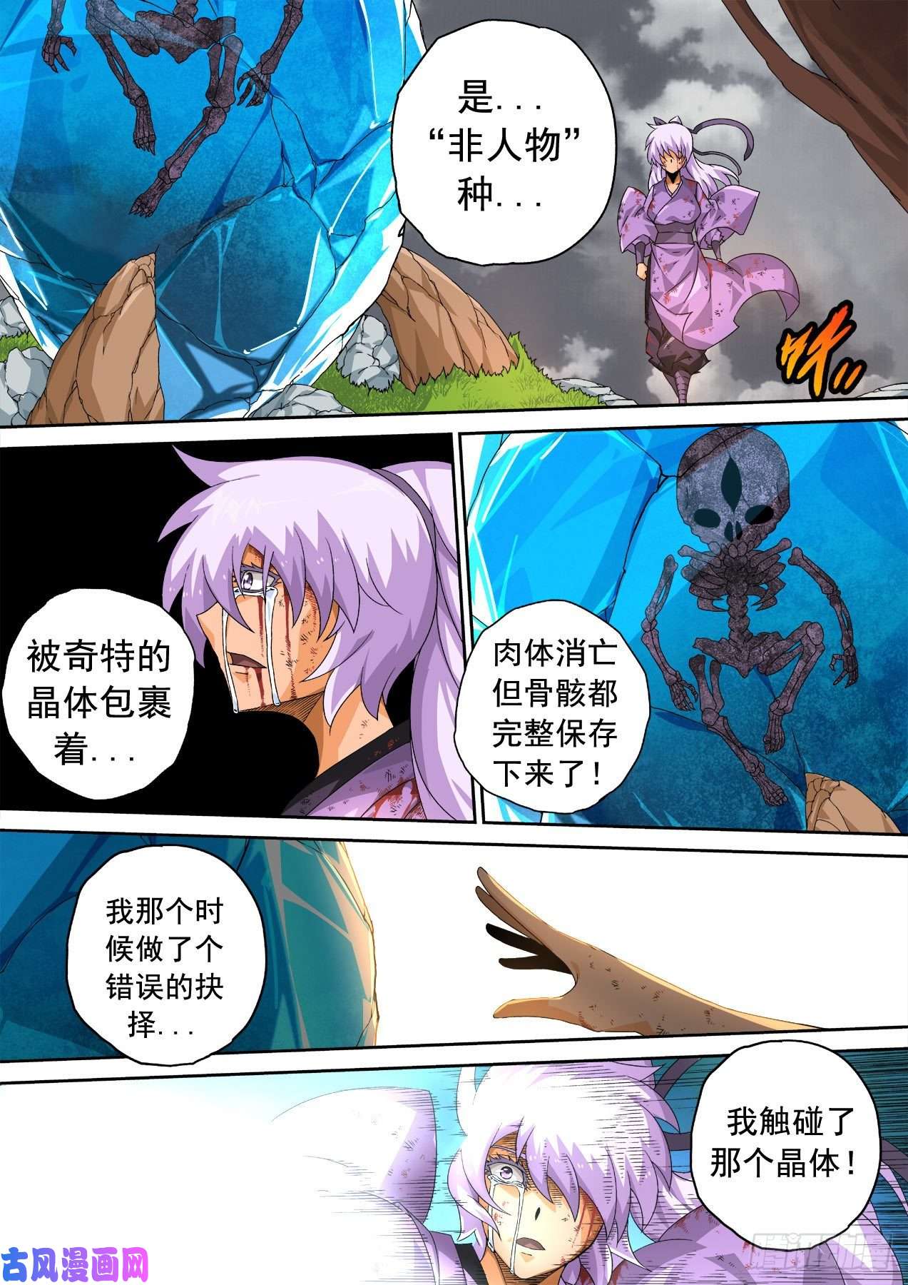武拳349：英武身世