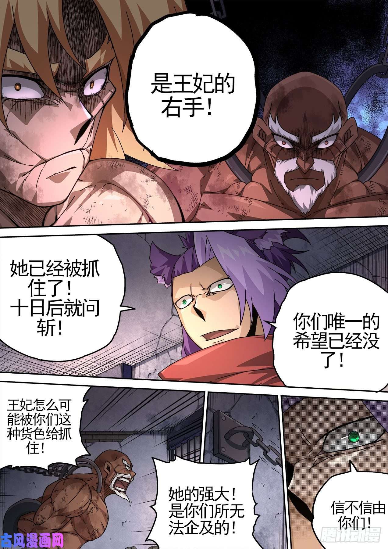 武拳428：双雄