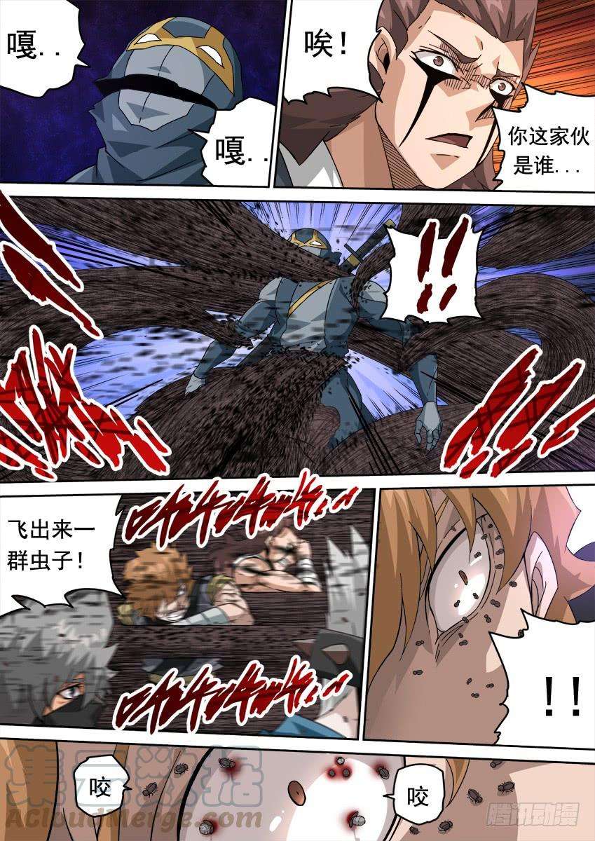 武拳265：最强战力