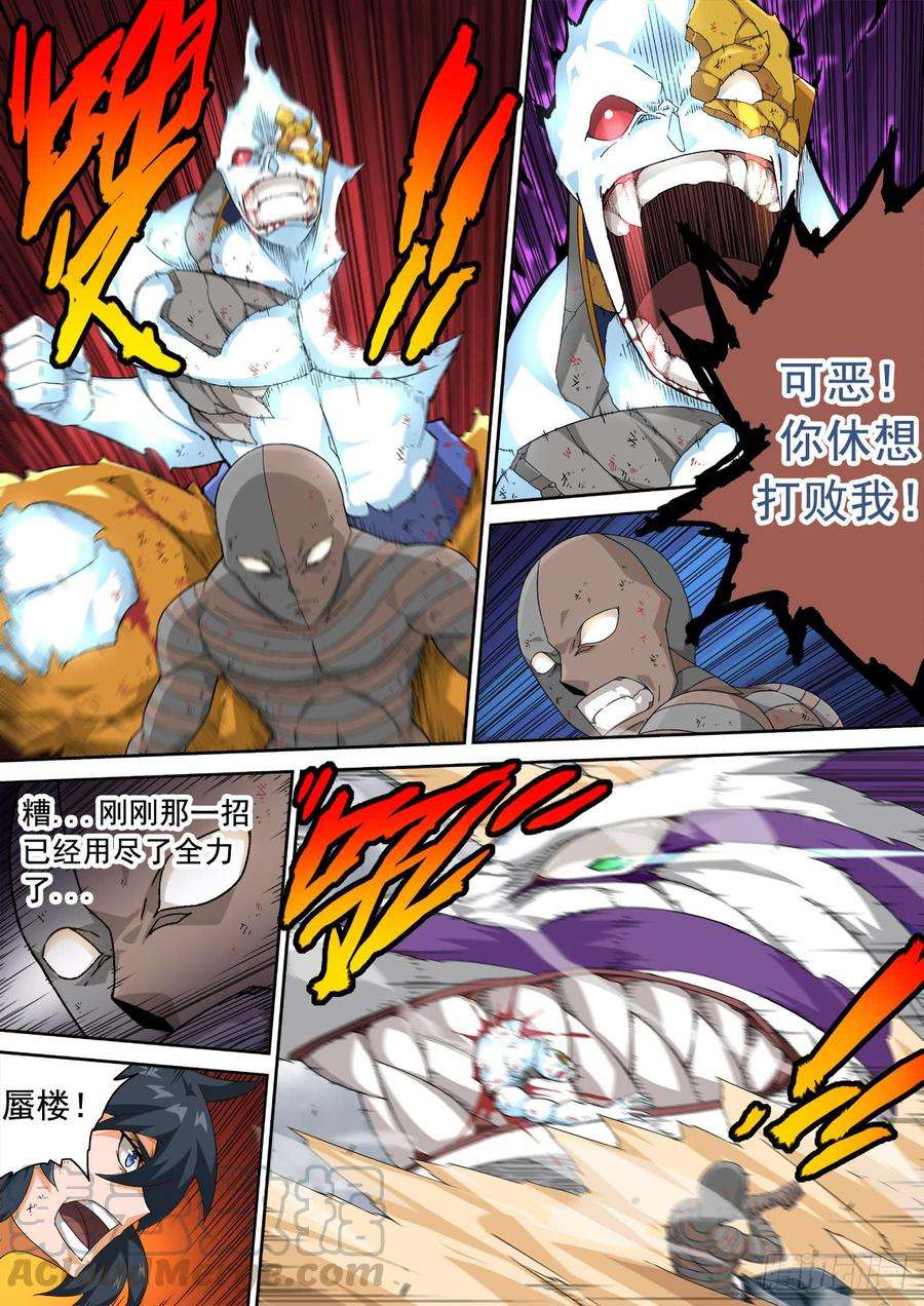 武拳311