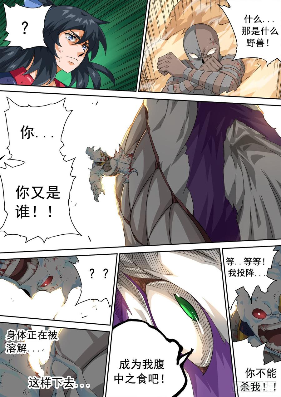武拳311