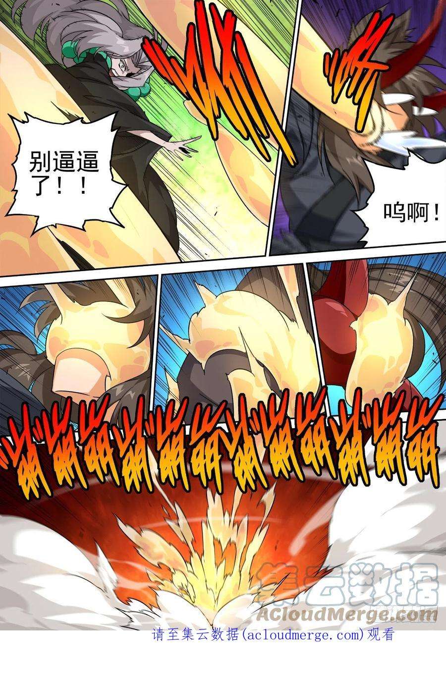 武拳490：脂肪