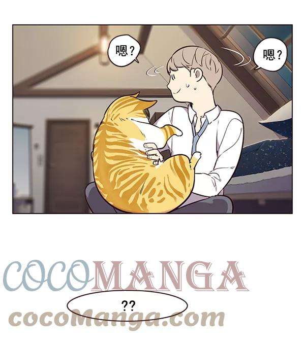 觉醒吧，铲屎官！1话