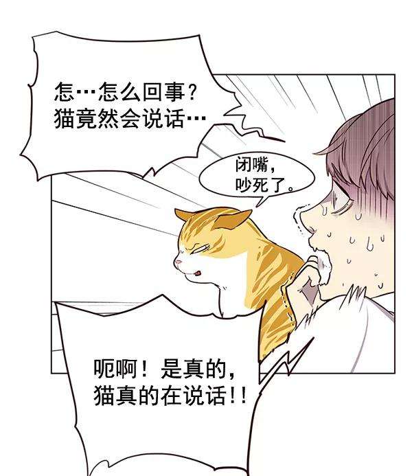 觉醒吧，铲屎官！1话