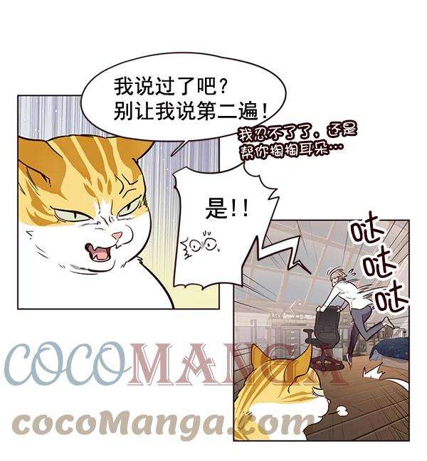 觉醒吧，铲屎官！1话