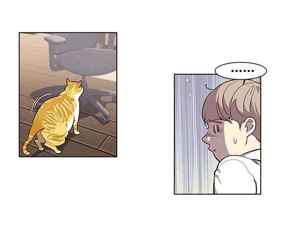 觉醒吧，铲屎官！1话