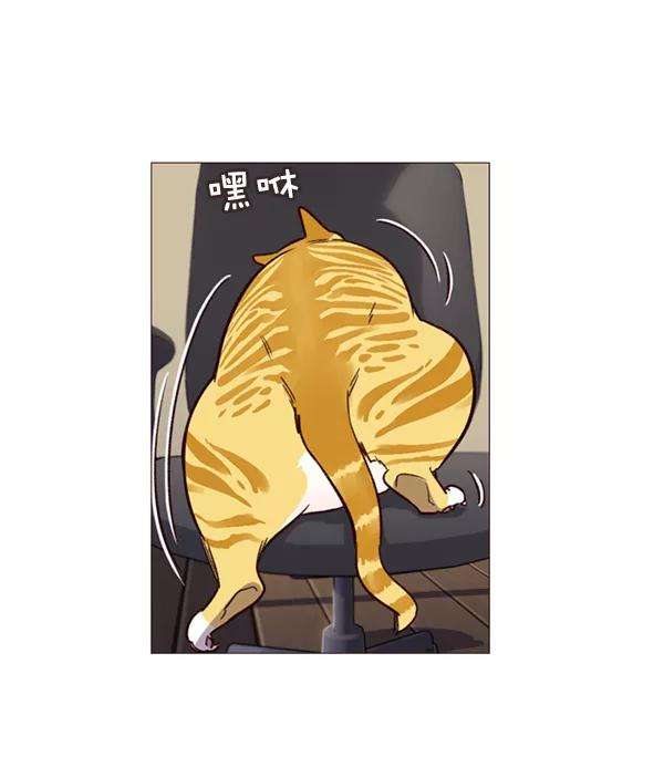 觉醒吧，铲屎官！1话