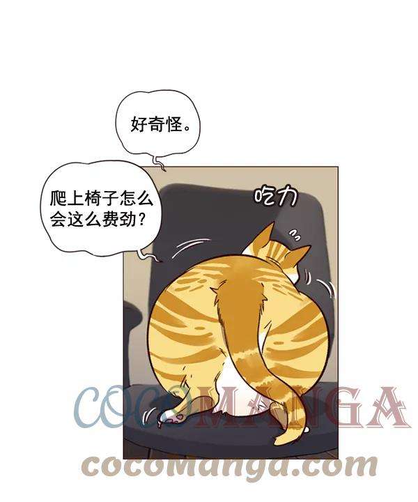 觉醒吧，铲屎官！1话