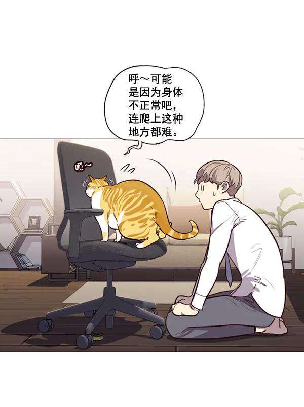 觉醒吧，铲屎官！1话