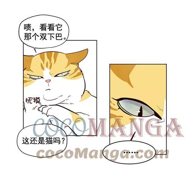 觉醒吧，铲屎官！1话