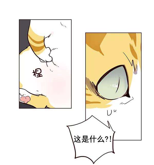 觉醒吧，铲屎官！1话