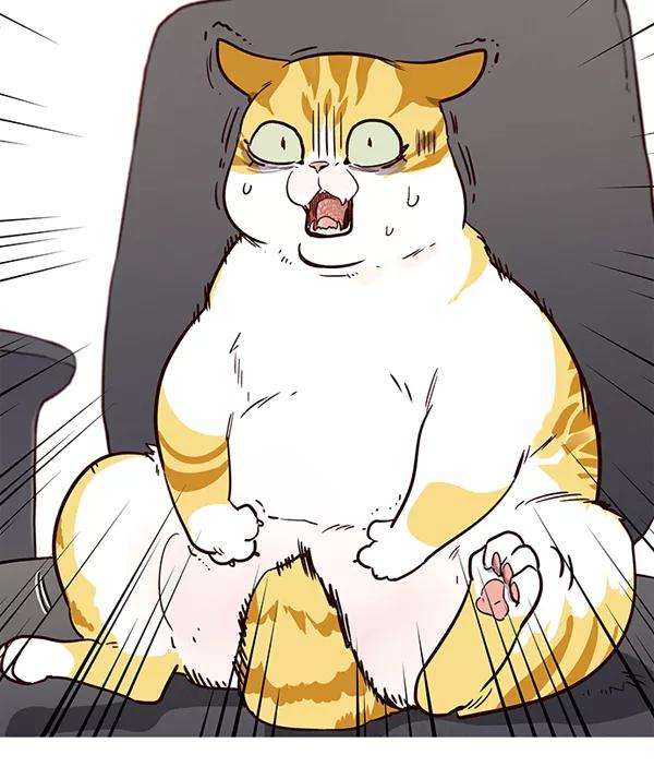 觉醒吧，铲屎官！1话