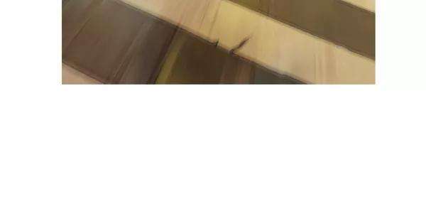 觉醒吧，铲屎官！1话