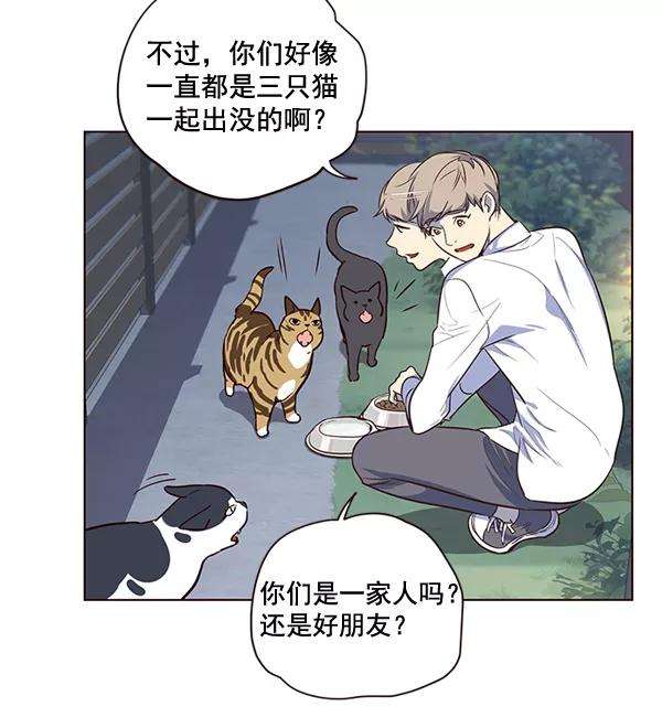 觉醒吧，铲屎官！1话