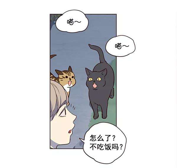 觉醒吧，铲屎官！1话