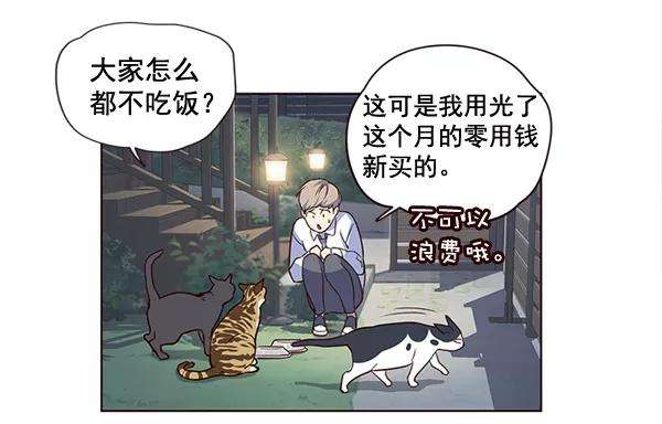 觉醒吧，铲屎官！1话