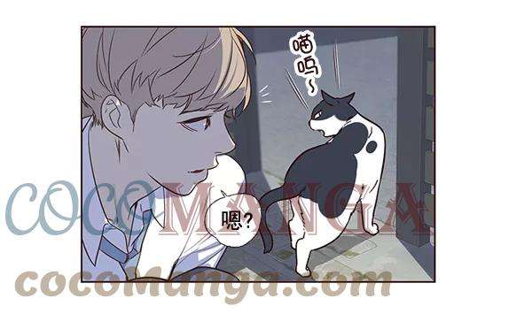 觉醒吧，铲屎官！1话