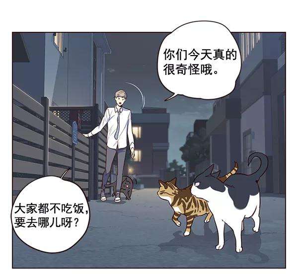 觉醒吧，铲屎官！1话