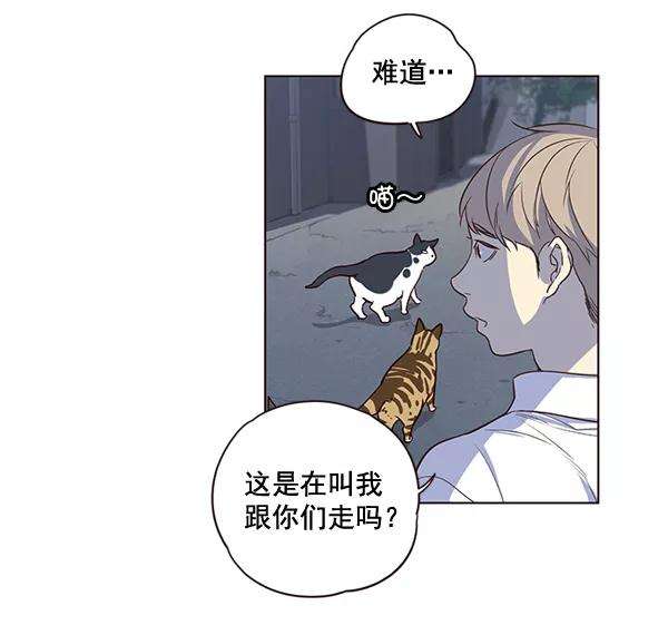 觉醒吧，铲屎官！1话