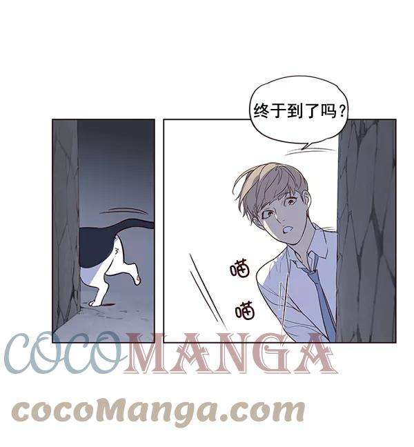 觉醒吧，铲屎官！1话