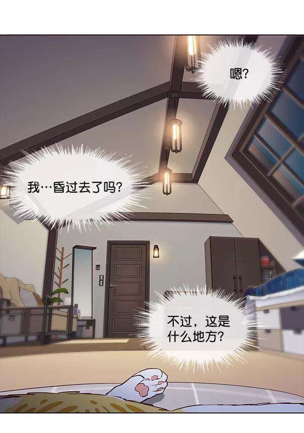 觉醒吧，铲屎官！1话