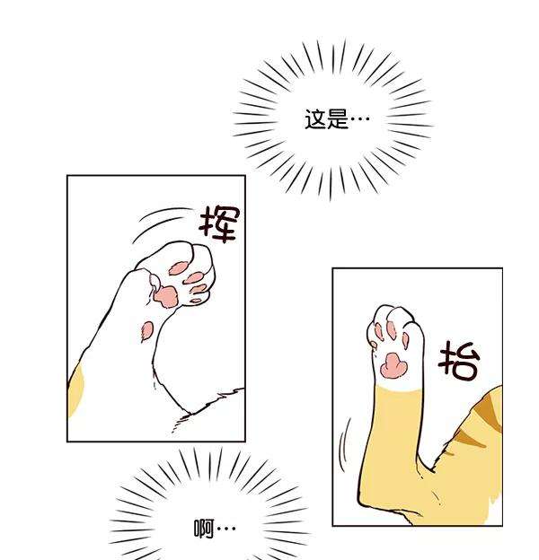 觉醒吧，铲屎官！1话