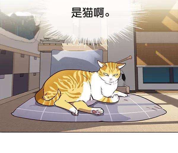 觉醒吧，铲屎官！1话