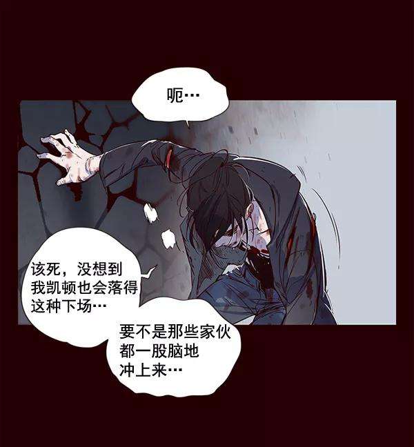 觉醒吧，铲屎官！1话