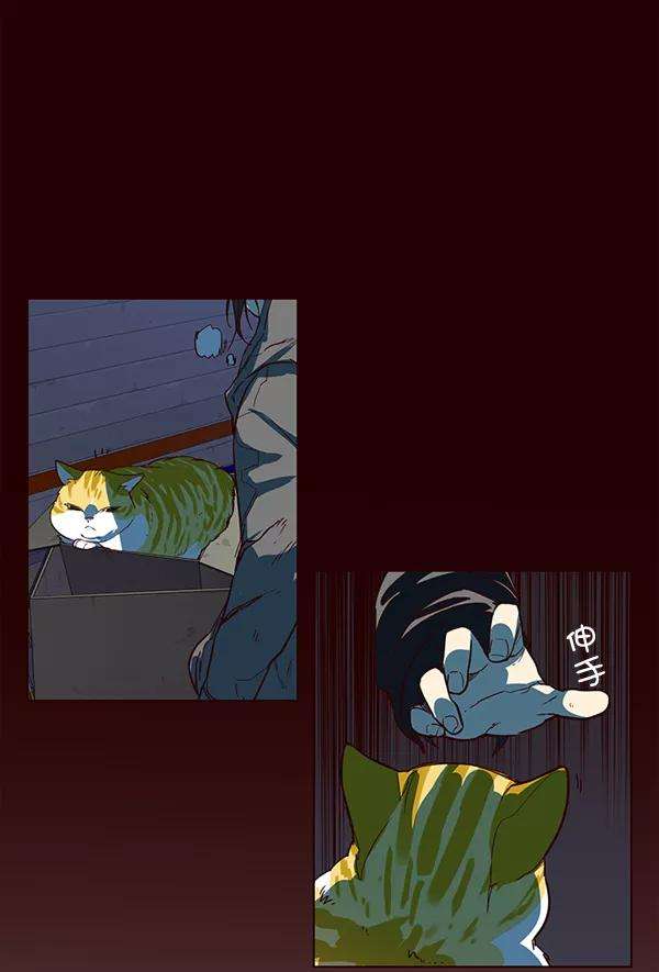 觉醒吧，铲屎官！1话