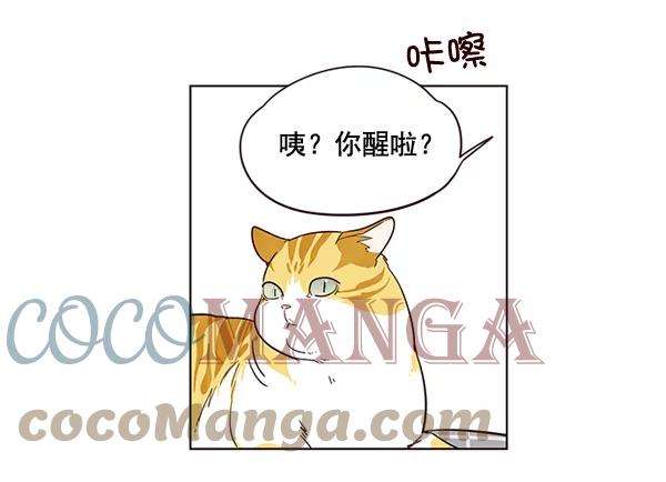 觉醒吧，铲屎官！1话