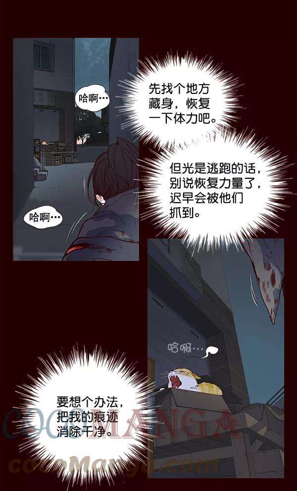 觉醒吧，铲屎官！1话