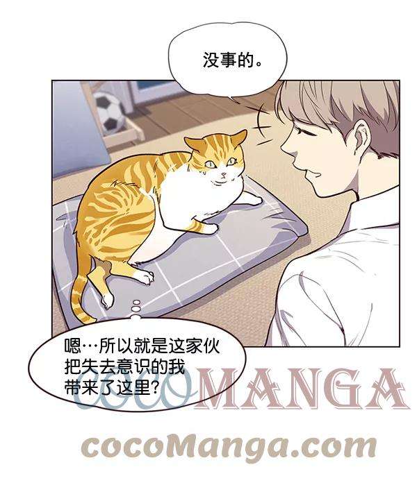 觉醒吧，铲屎官！1话