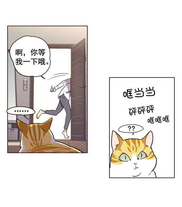 觉醒吧，铲屎官！1话